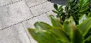 BHS_CH_FC-Accurate_0894-1300x624.webp