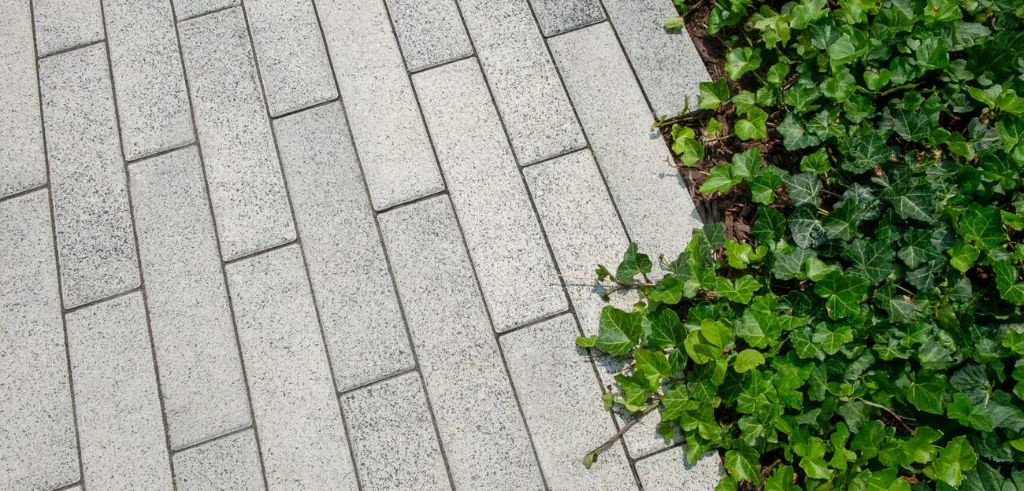 Web-Gallery-PMD_UMB_MI_Brush-Park_8481-1300x624.webp