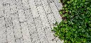 Web-Gallery-PMD_UMB_MI_Brush-Park_8481-1300x624.webp