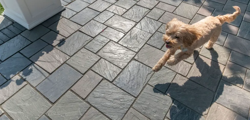Richcliff_Paver_2ColBlend-1300x624.webp