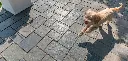 Richcliff_Paver_2ColBlend-1300x624.webp