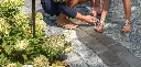 Tribeca-Cobble_Walkways_Crystalline-Basalt_5249-1300x624.webp