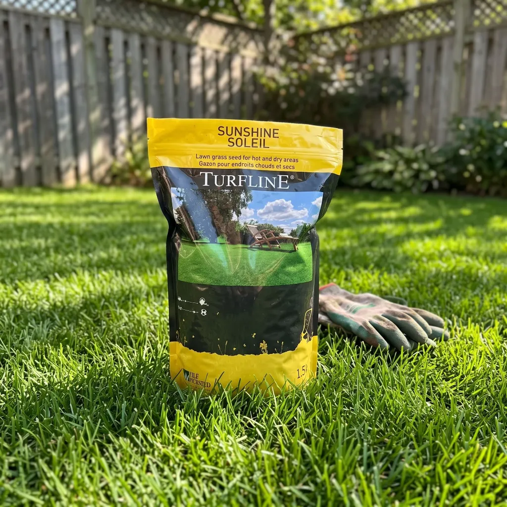 Grass_seed_bag_on_lawn_2K_20261015163954.webp