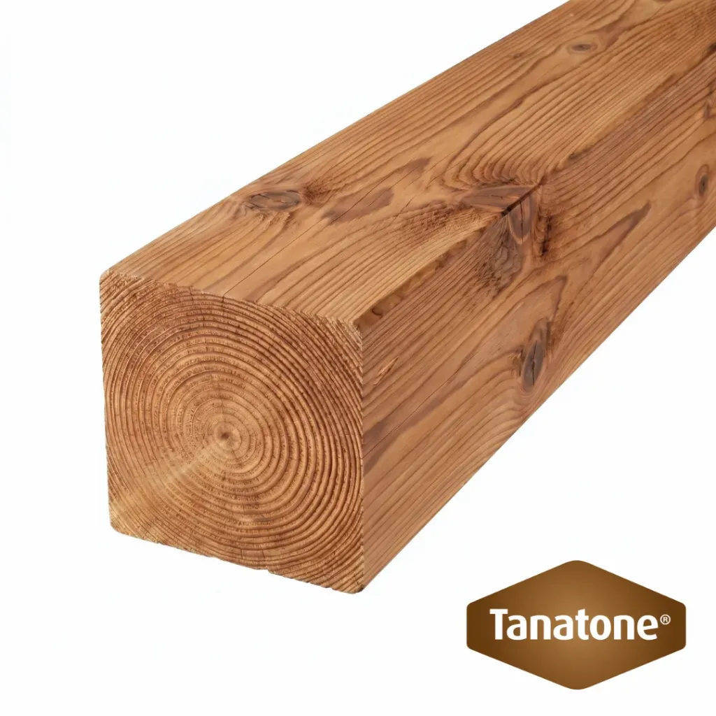 6 x 6 x 10' Premium Pressure Treated Wood Post