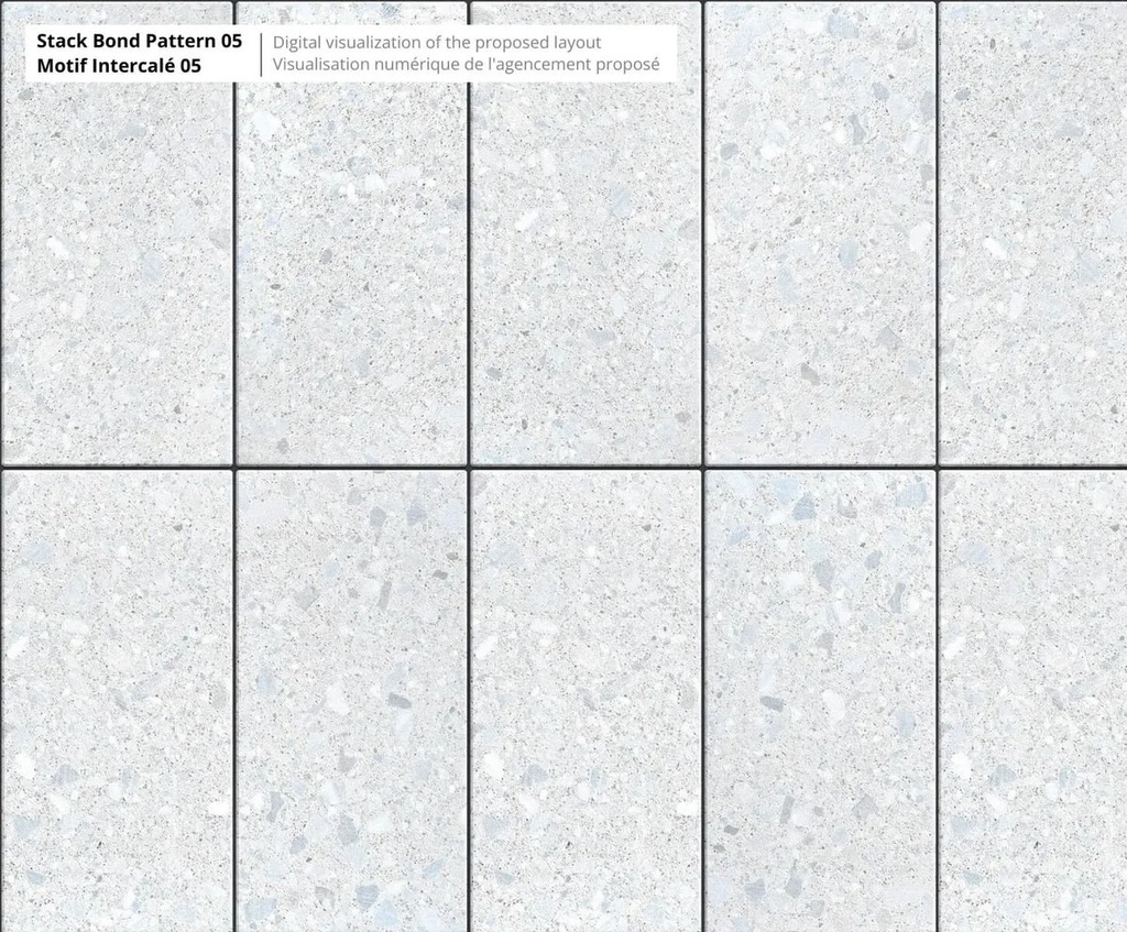 Terrazzo 600 x 300    60mm