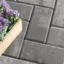 HOLLAND PREMIER 4"X8" 60mm