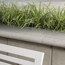 BULLNOSE GRANDE POLISHED