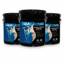 SEAL KING - HIGH GLOSS 9.5L/2.5G