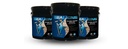 SEAL KING - SEMI GLOSS 9.5L/2.5G